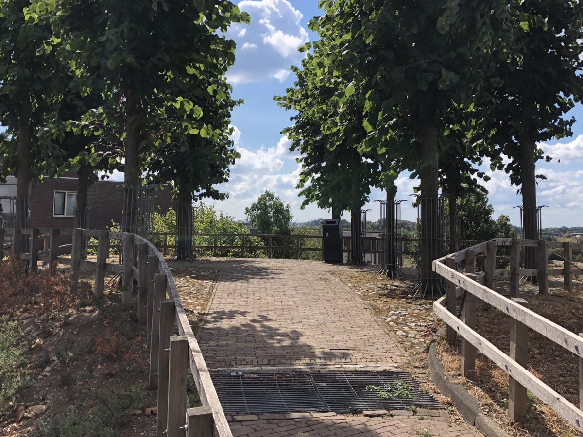 Cuneraheuvel in Rhenen