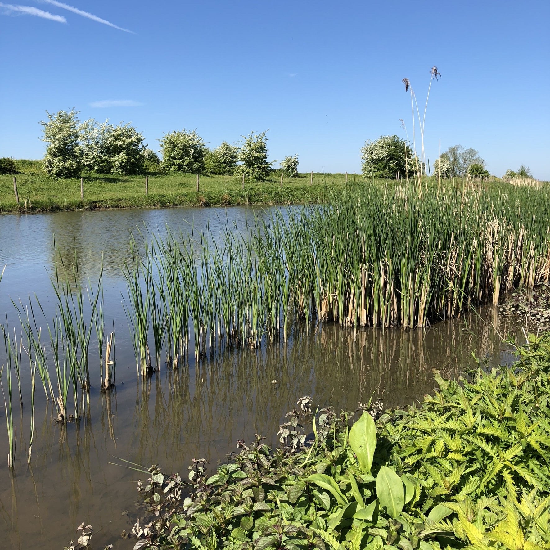 Wandelroute Palmerswaard