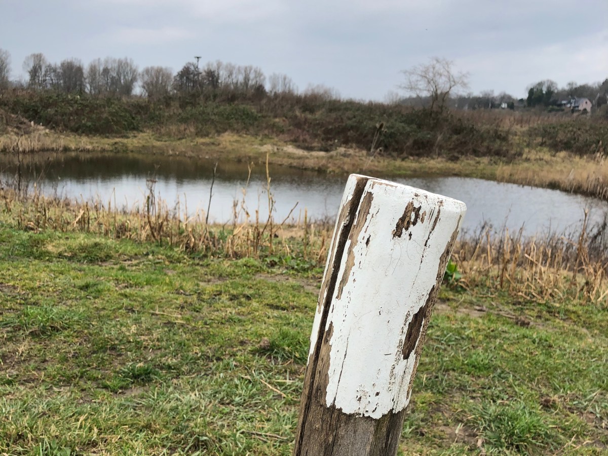 Gemarkeerde wandelroute Palmerswaard (2 km)