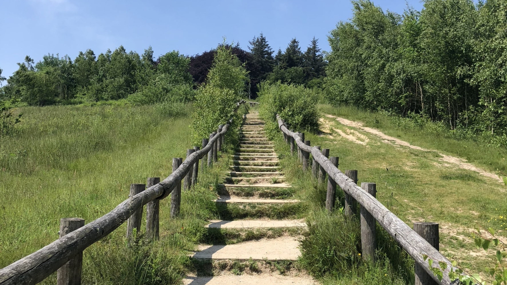Wandelen Kwintelooijen