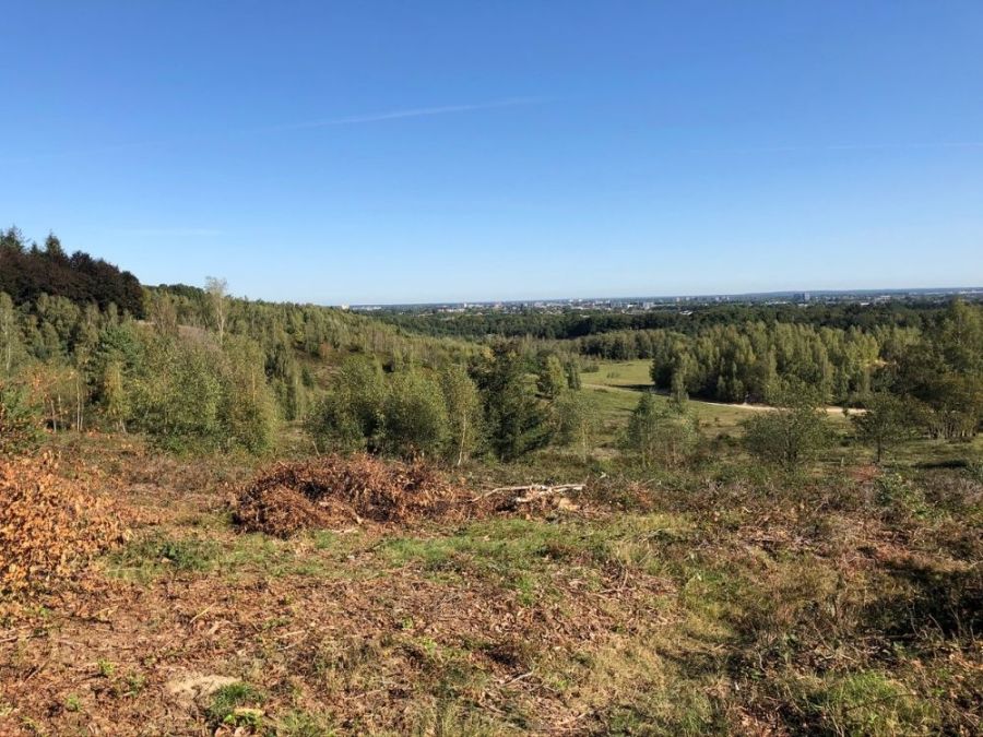 Kwintelooijen uitzichtpunt