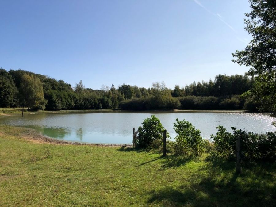 Wandelroute Rondje Kwintelooijen