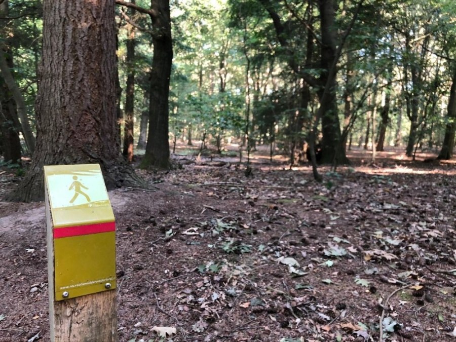 Wandelroute Dikkenberg Kwintelooijen