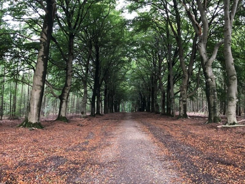 Natuurpad Prattenburg (6,5 km)