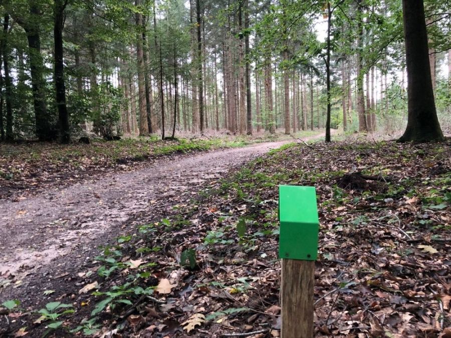 Wandelroute Prattenburg