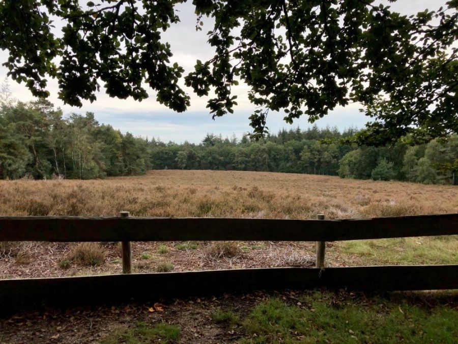 Wandelroute Prattenburg Heide
