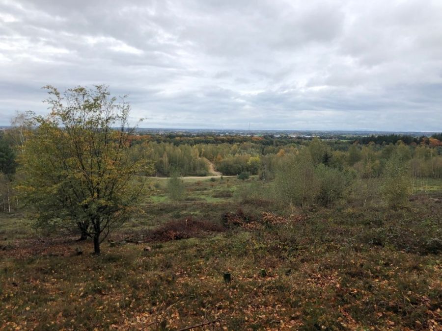 Natuurpad Heuvelrug Kwintelooijen