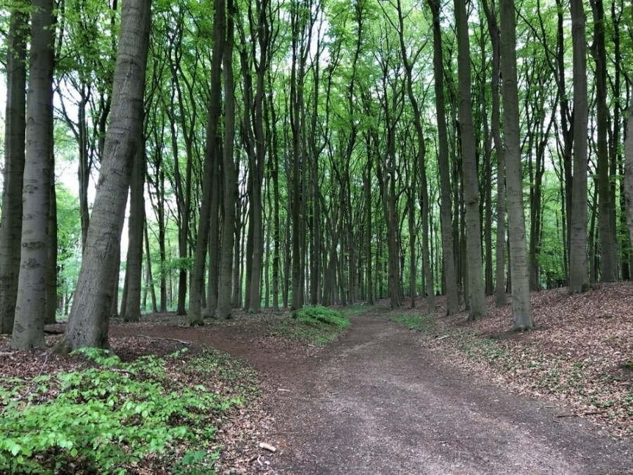 Trage Tocht Rhenen Laarsenberg