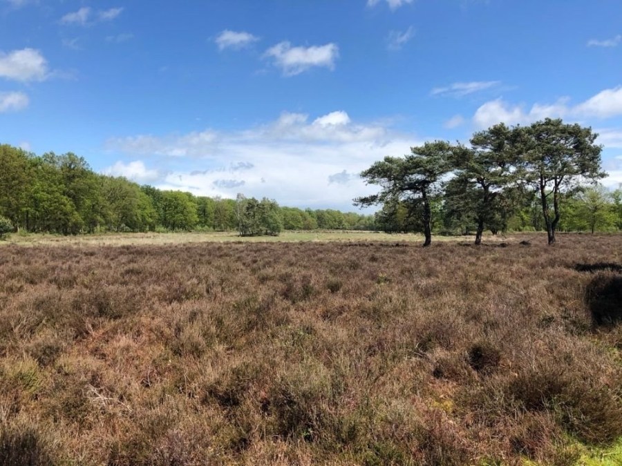 Egelmeer Fietsroute Rhenen Veenendaal Prattenburg