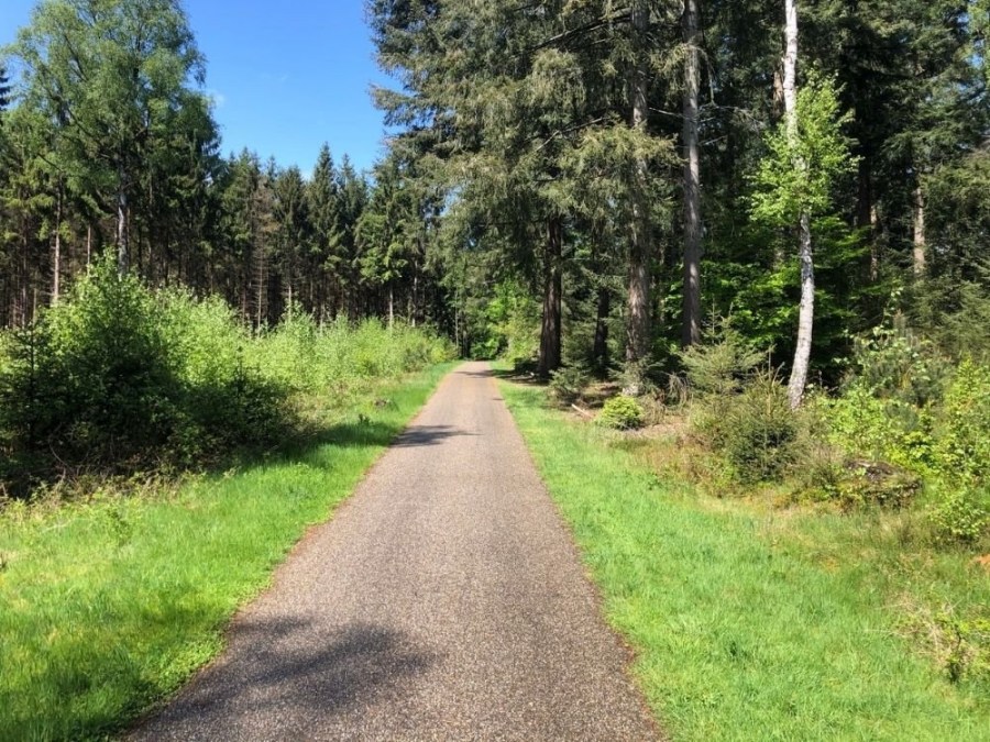 Fietsroute Rhenen Veenendaal Prattenburg