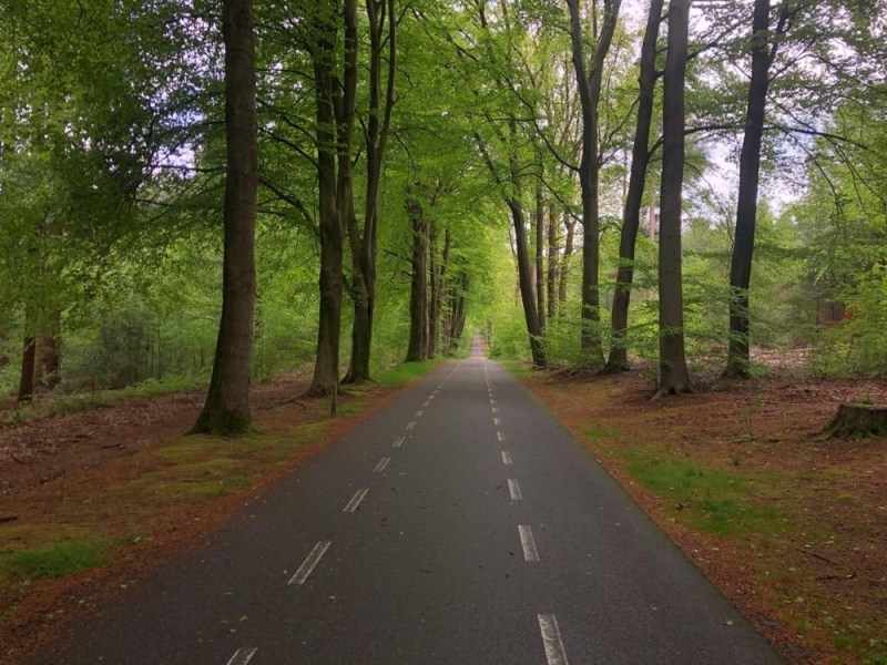 Fietsroute Veenendaal – Rhenen Prattenburg (24,7 km)
