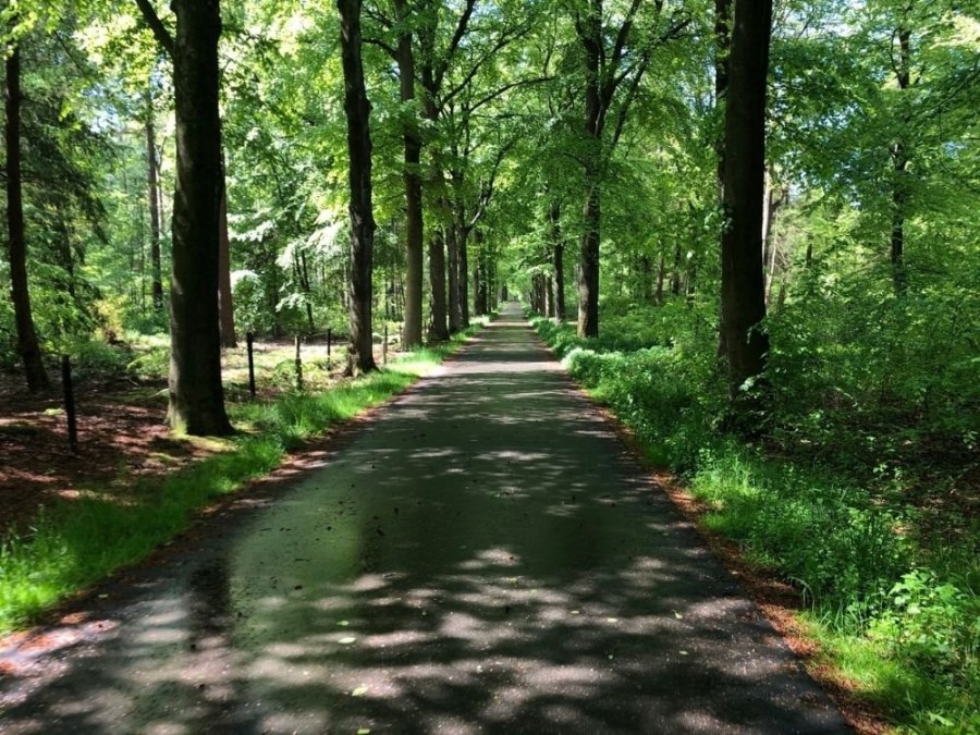 Fietsroute Rhenen Veenendaal Prattenburg
