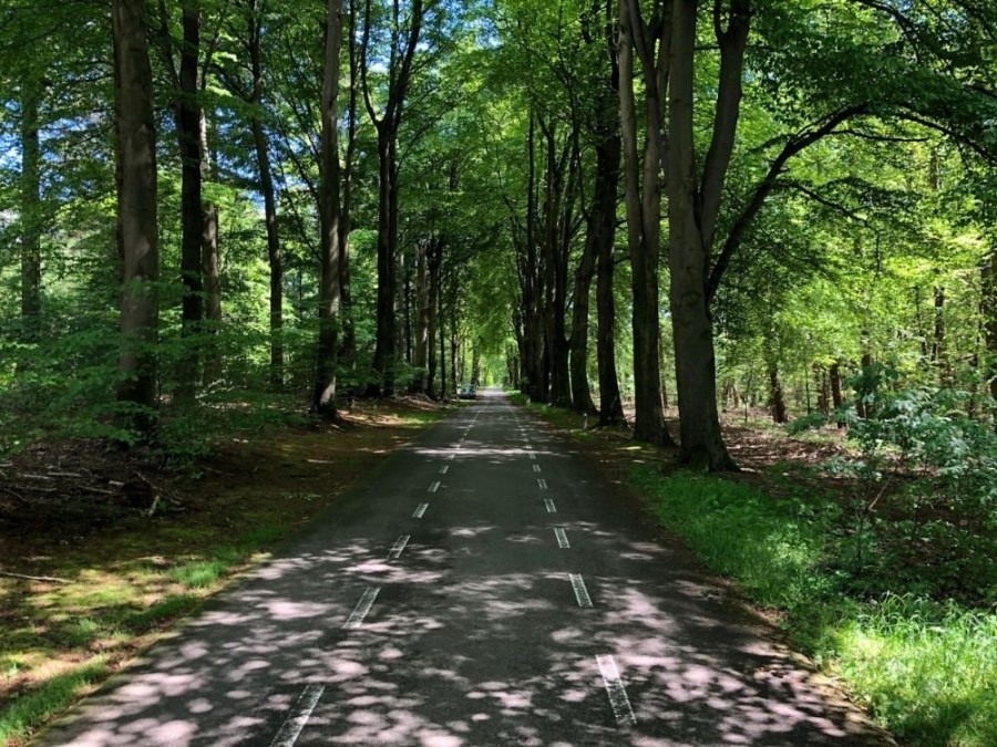 Fietsroute Rhenen Rijn Autoweg