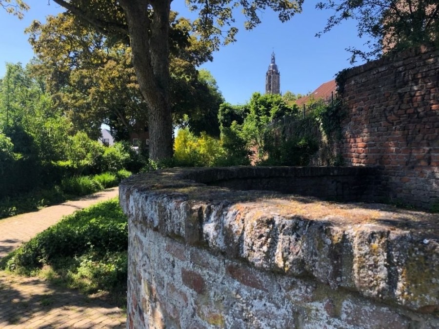 Stadswandeling Rhenen Stadsmuur