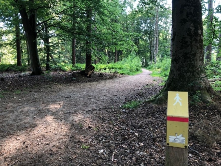 Wandelen Laarsenberg