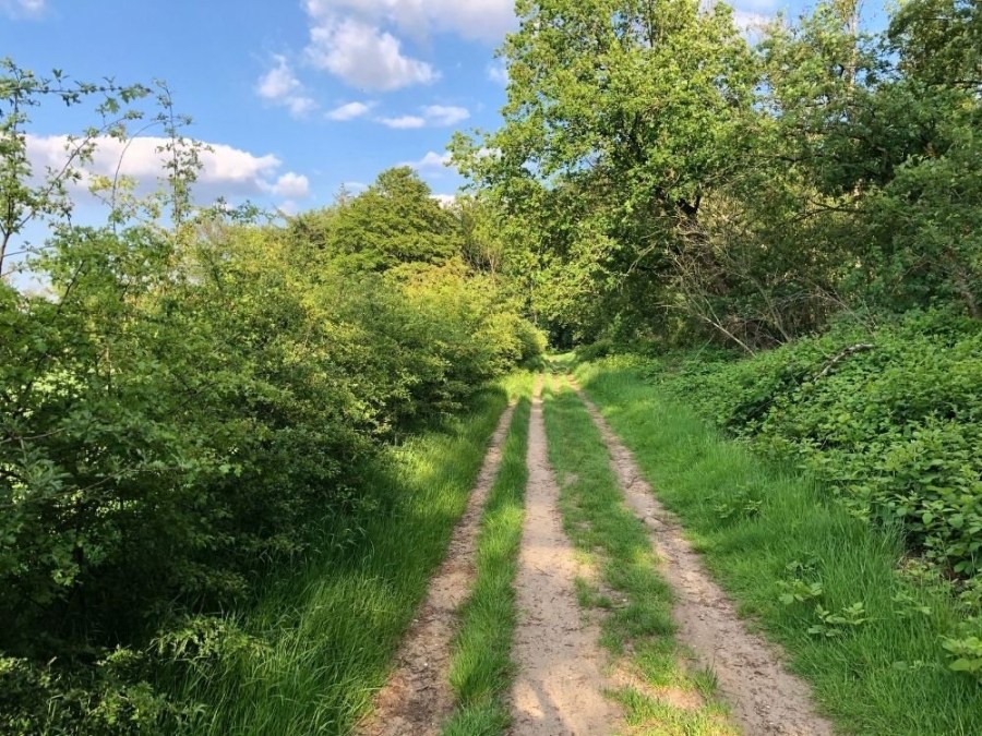 Gemarkeerde wandelroute Laarsenberg