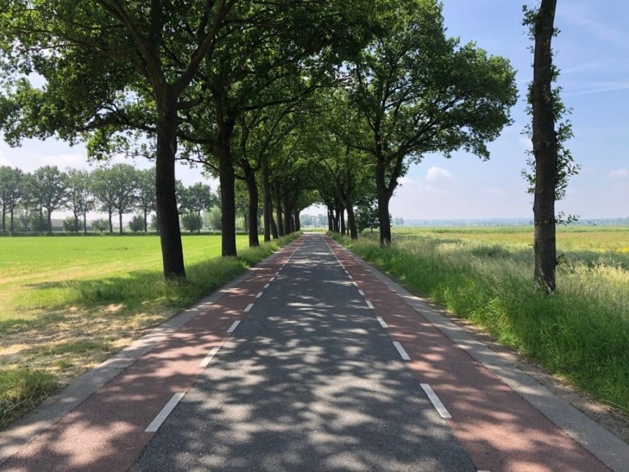 Fietsroute Rondje Binnenveld vanuit Rhenen