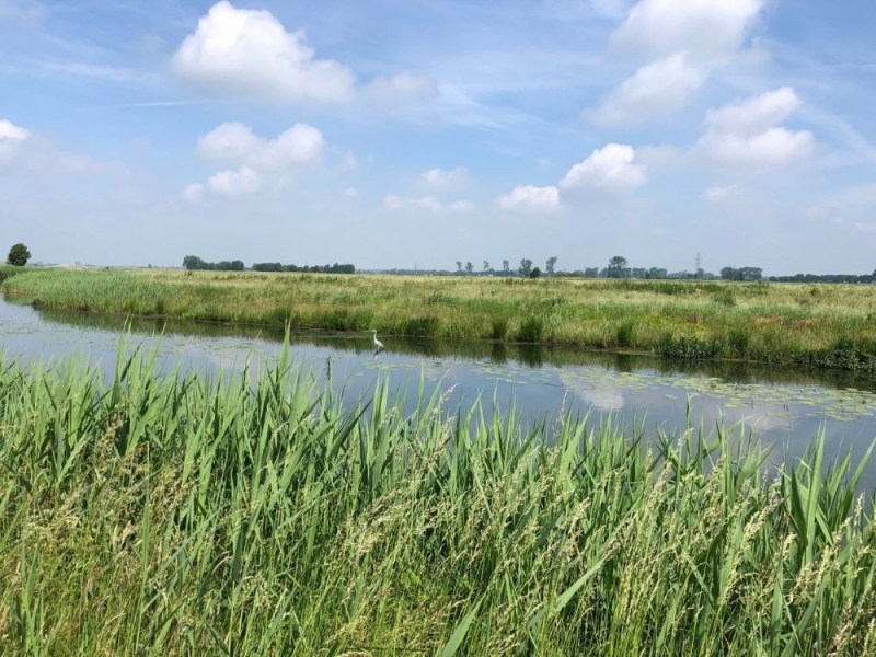 Fietsroute Rondje Binnenveld vanuit Rhenen