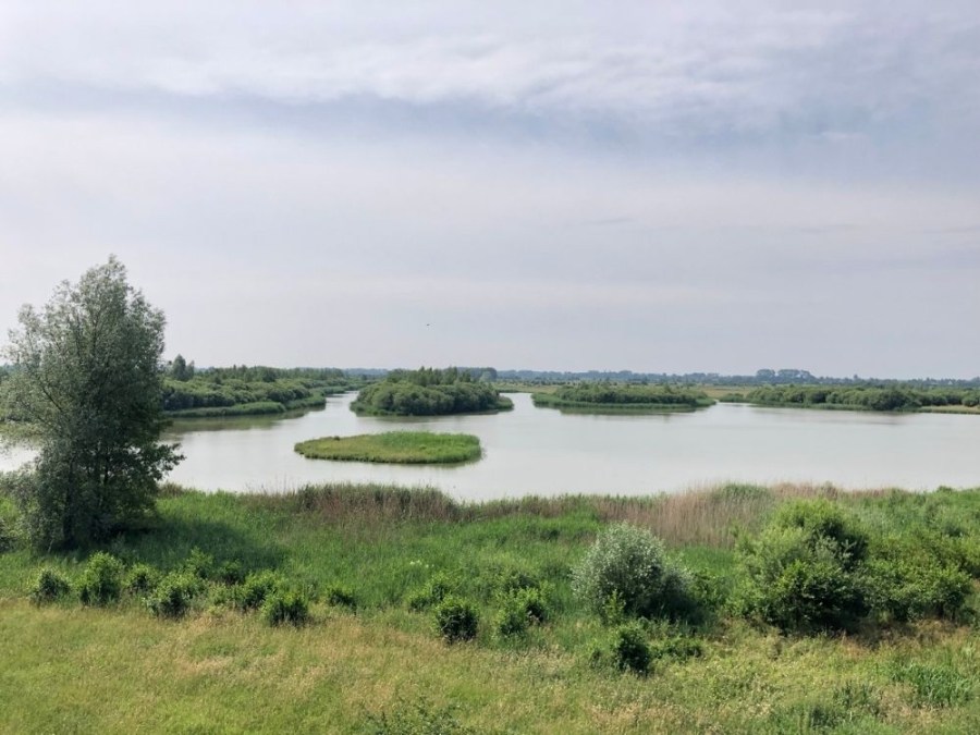 Wandelroute Hoog en Laag Amerongse Bovenpolder