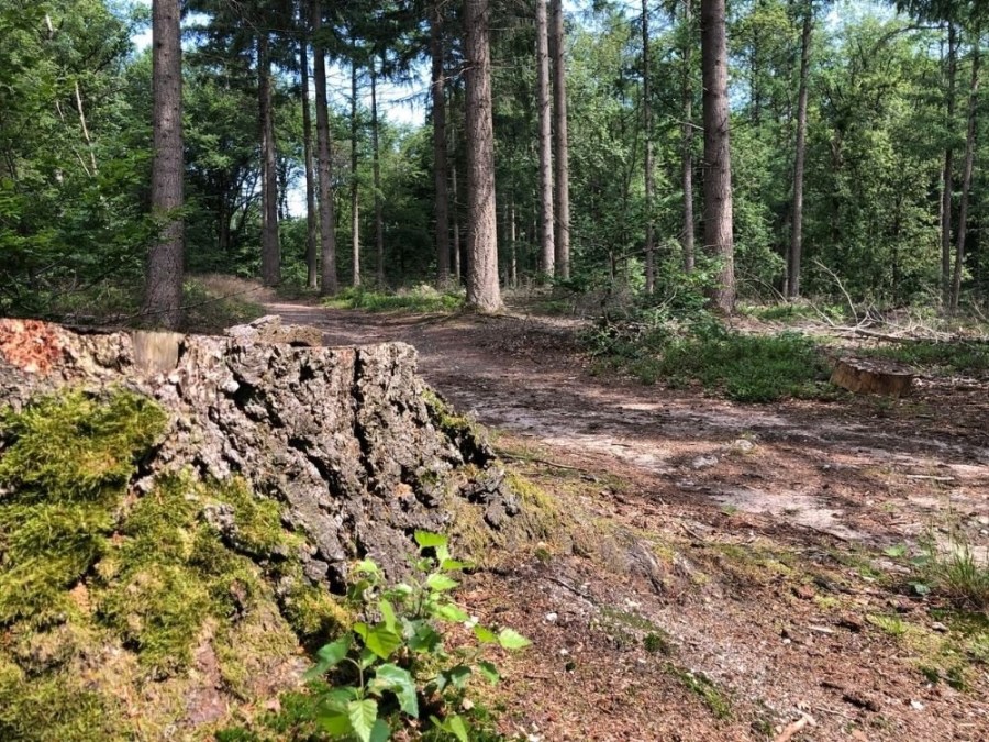 Trage tocht Kwintelooijen Rhenen
