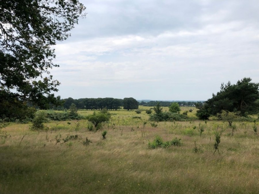 Trage tocht Kwintelooijen Plantage Willem III
