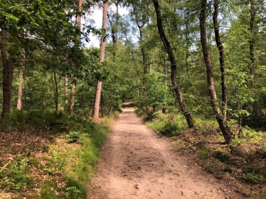 Trage Tocht Kwintelooijen Stadsbossen