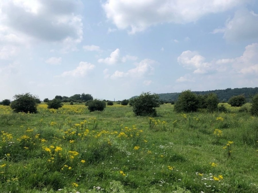 Gemarkeerde wandelroute Blauwe Kamer Rhenen