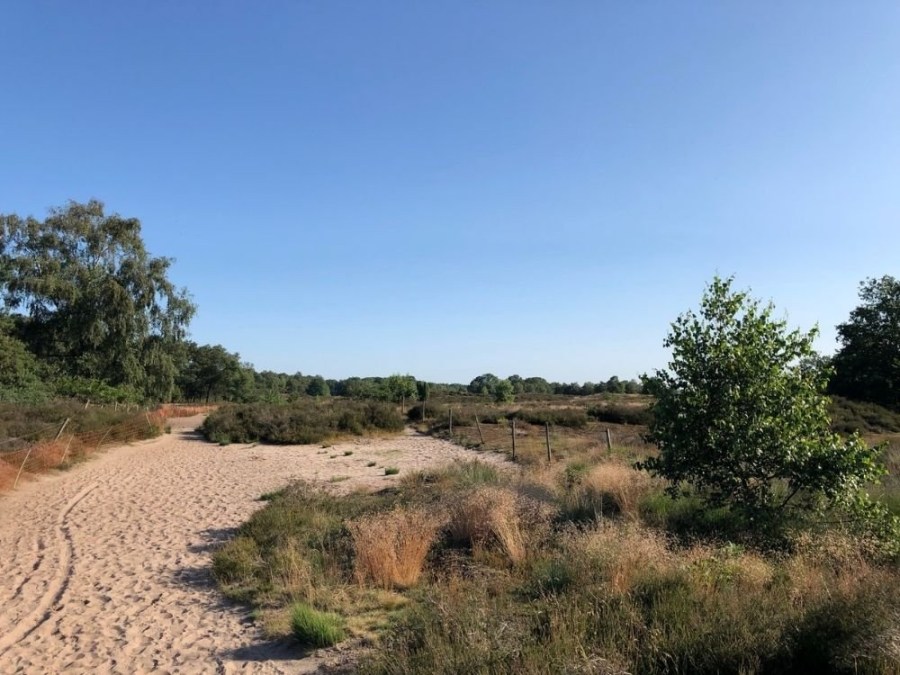 Wandelen Trage Tocht Veenendaal Heide