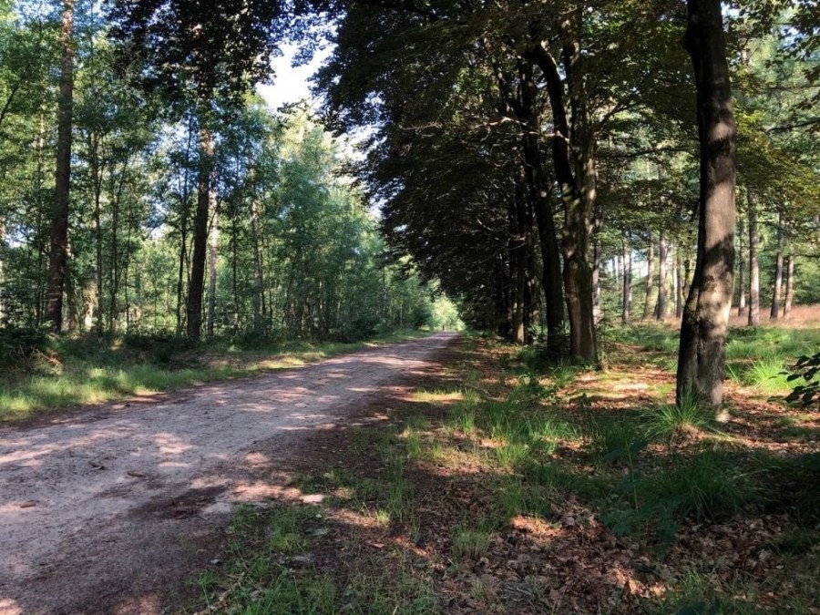 Wandelroute Trage Tocht Veenendaal