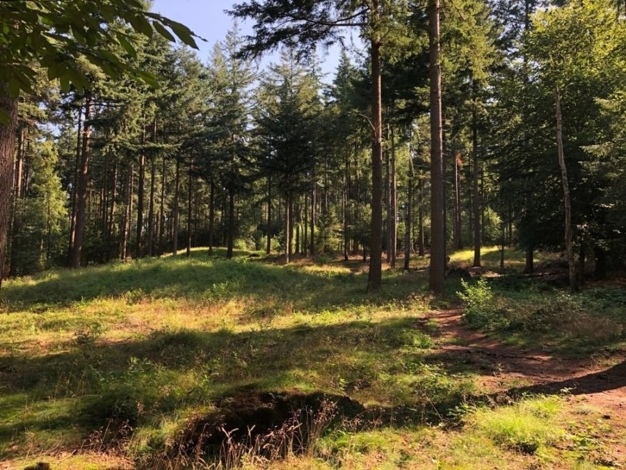 Trage Tocht Veenendaal Amerongse bos