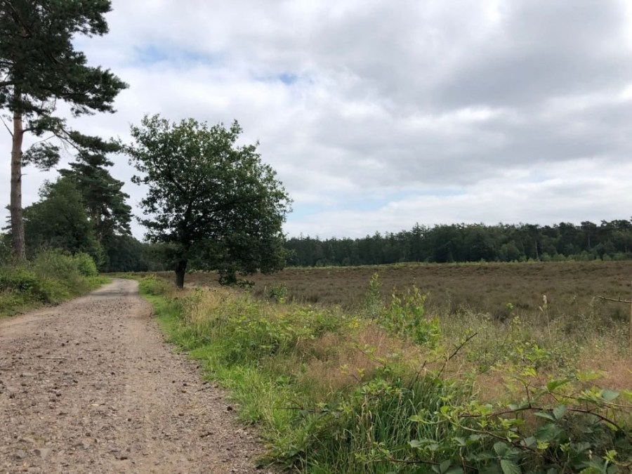 Egelmeer Fietsroute Utrechtse Heuvelrug Rhenen