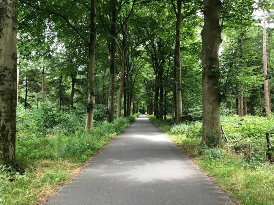 Fietsen Utrechtse Heuvelrug Rhenen