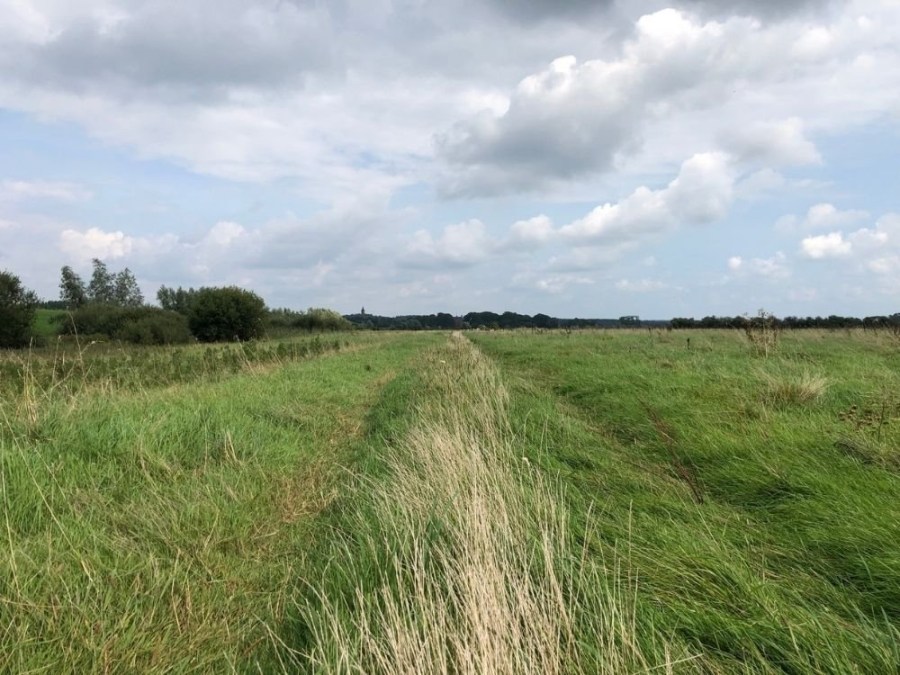 Wandelroute Amerongse bovenpolder Uiterwaarden