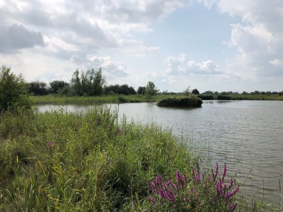 Wandelroute Amerongse bovenpolder