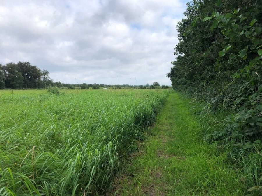 Trage Tocht Sandenburg