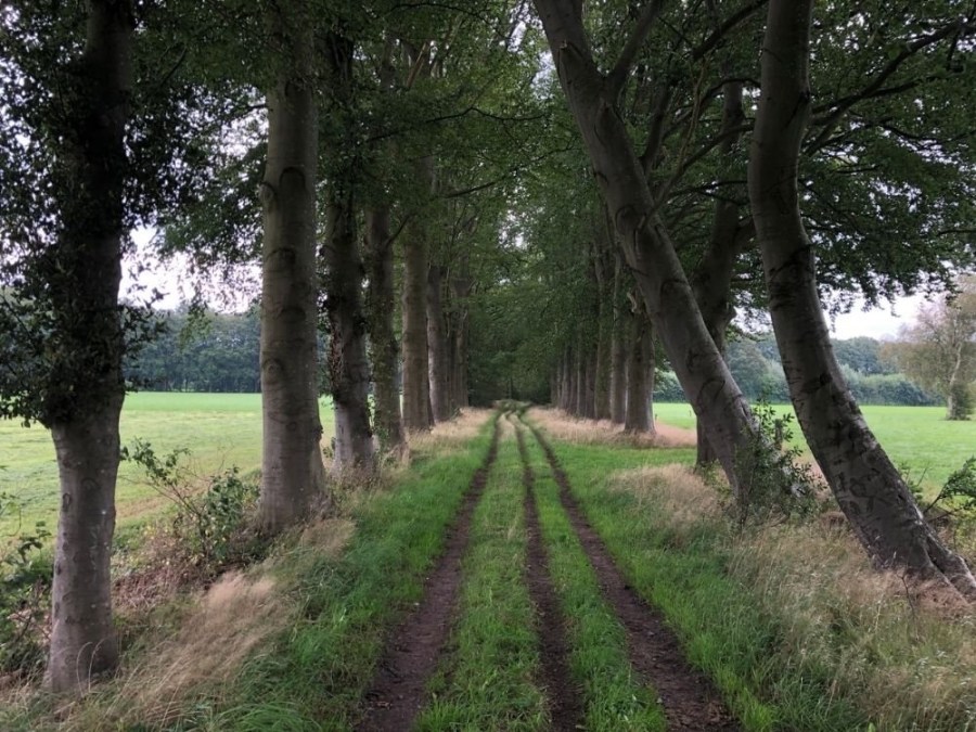 Trage Tocht Landgoed Sandenburg