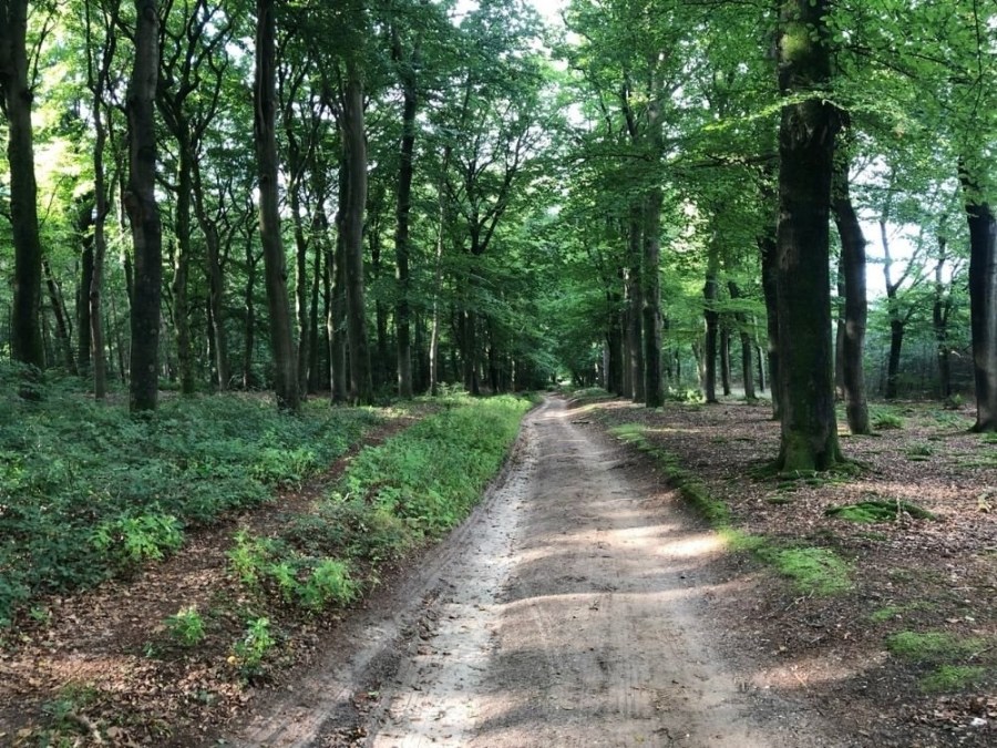 Wandelroute Trage Tocht Sandenburg