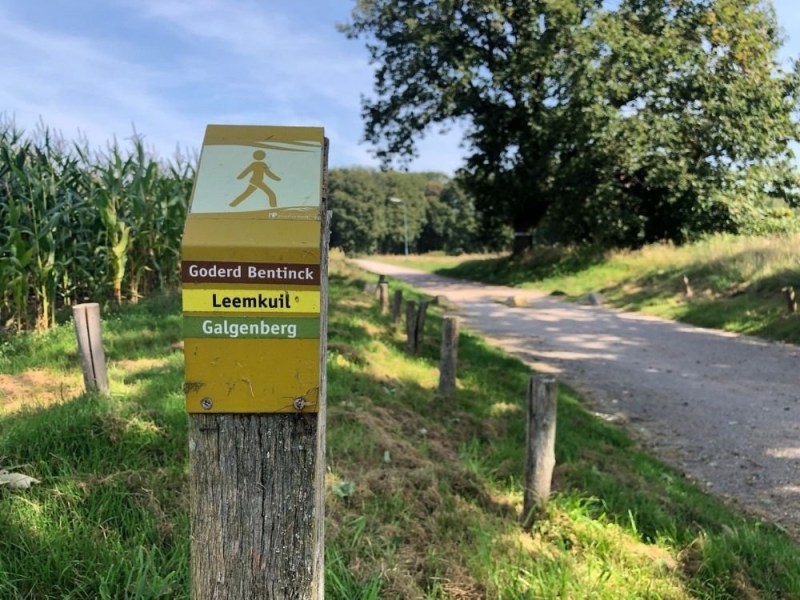 7x Wandelen in Amerongen: boswandeling, klompenpad en meer