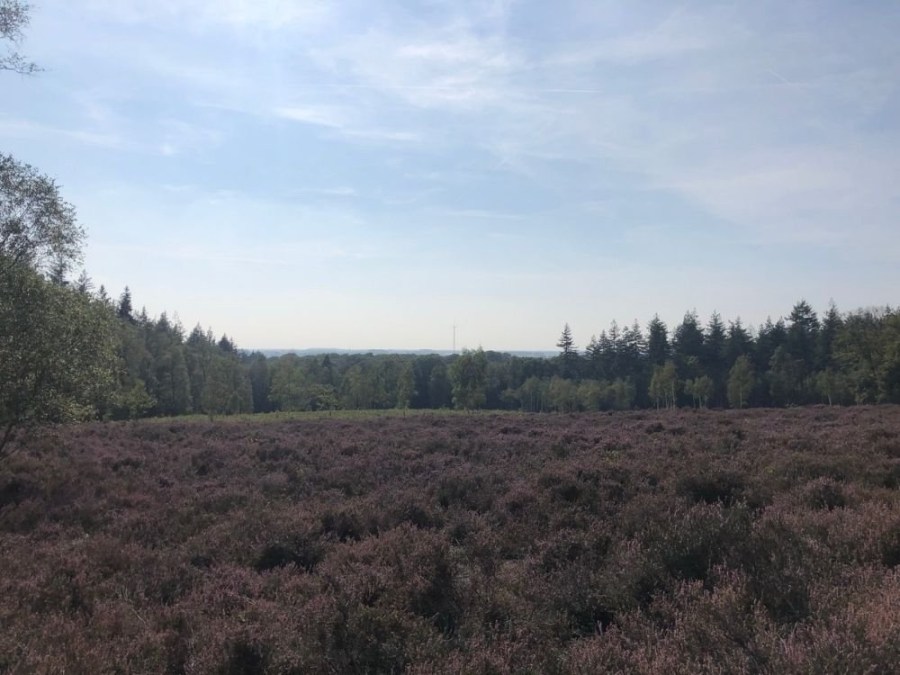 Wandelroute Leemkuil Amerongen Salamanderweide