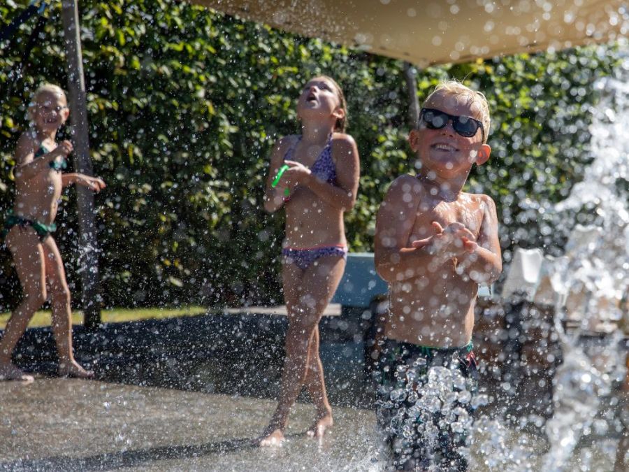 Vakantiepark Thijmse Berg Zwembad Rhenen