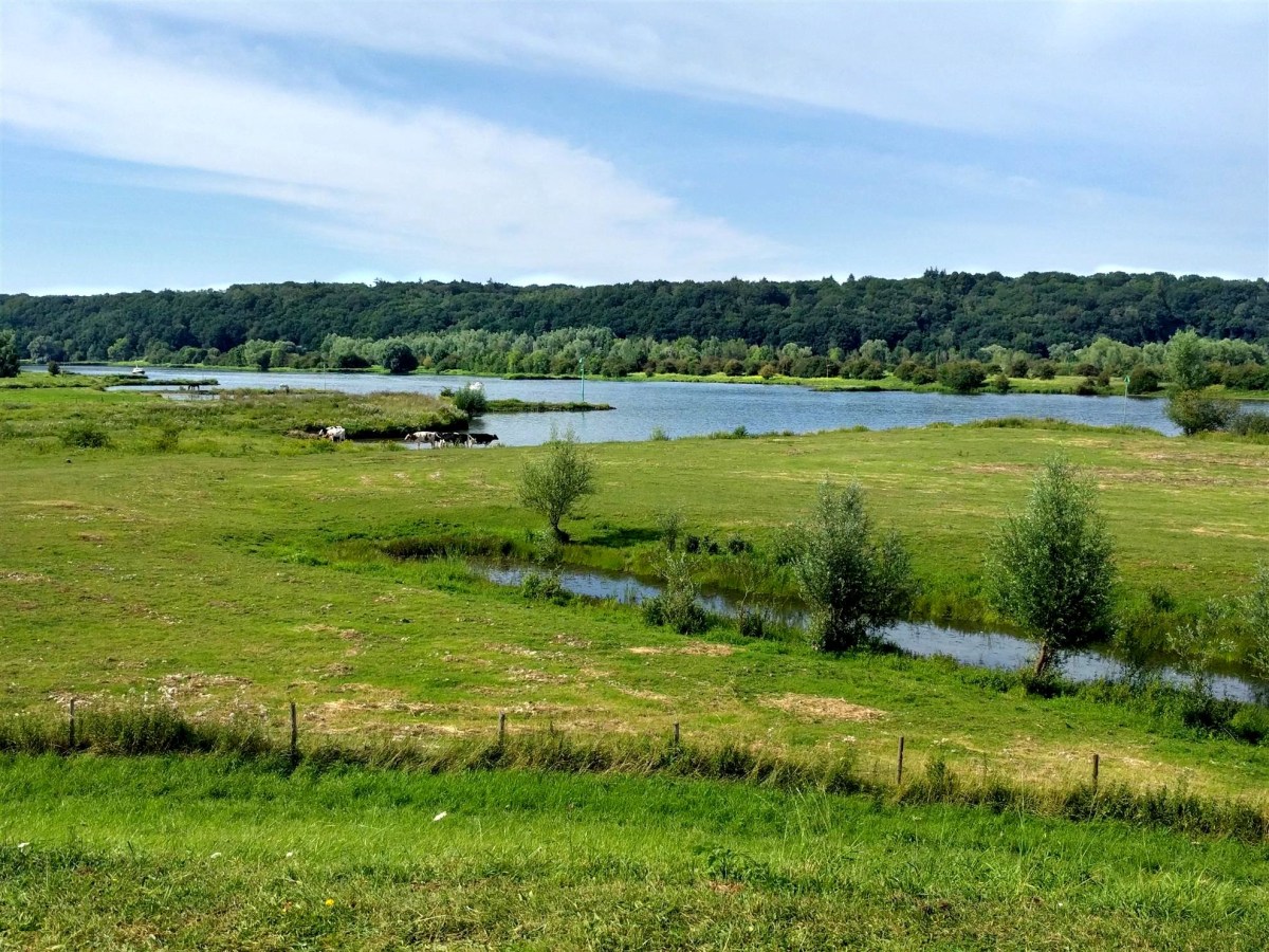 Fietsroute fietsen over Rug en Rijn (35 km)