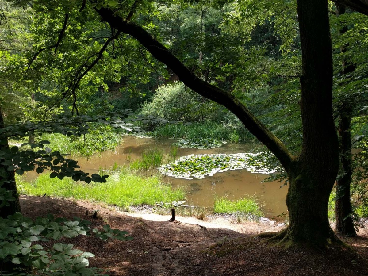 Fietsroute fietsen tussen bos en binnenveld (34 km)